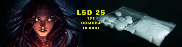эйфоретик Новый Уренгой