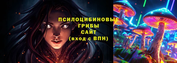 PSILOCYBIN Абаза