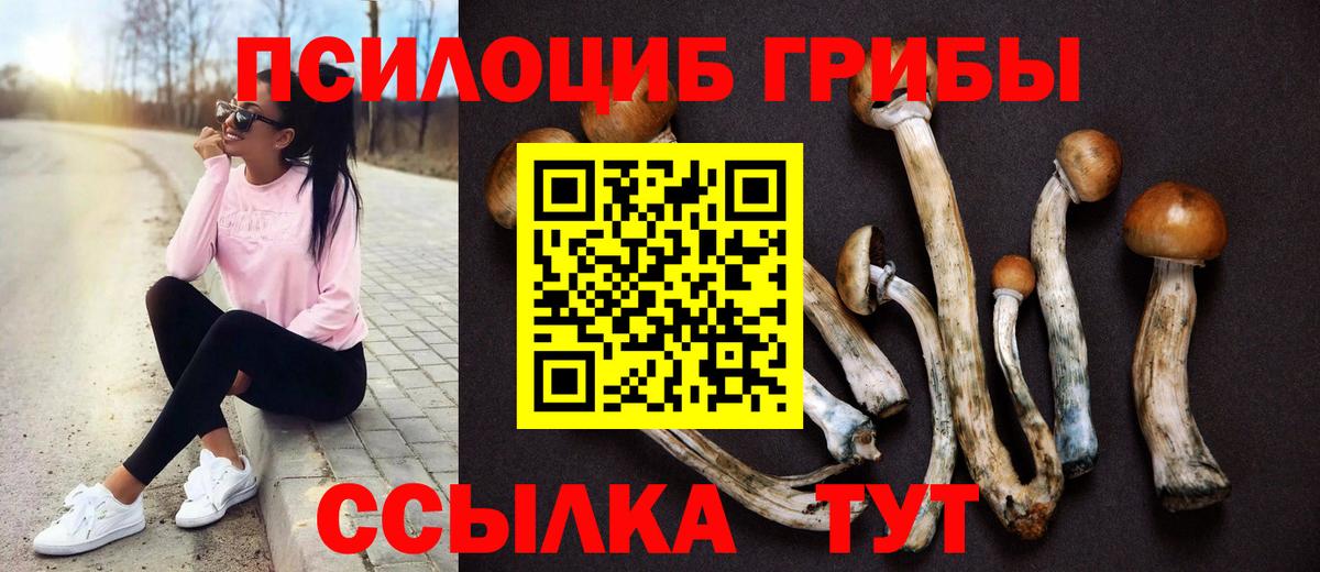 Галлюциногенные грибы GOLDEN TEACHER Одинцово