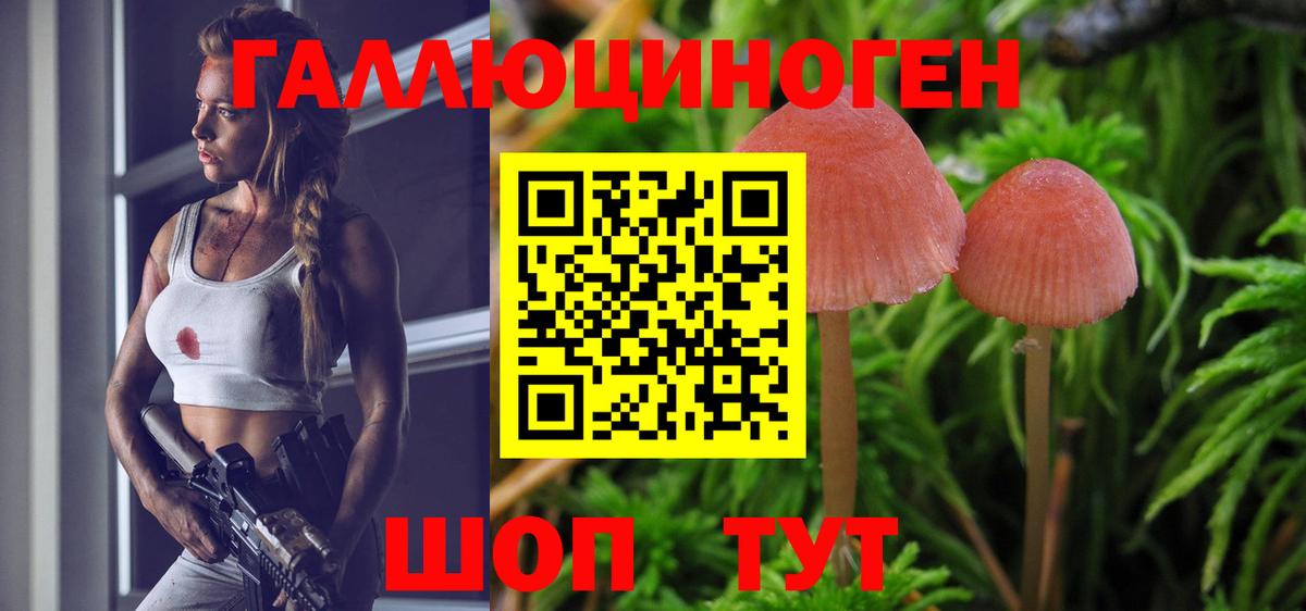 Галлюциногенные грибы Psilocybine cubensis  Вход с VPN  Галлюциногенные грибы GOLDEN TEACHER  Одинцово 