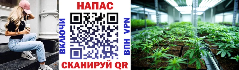 Марихуана VHQ сайты даркнета клад Одинцово